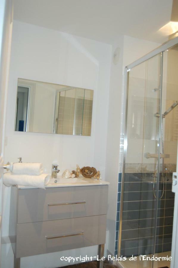 Le Relais De L'Endormie Hotel Nogent-sur-Seine Luaran gambar